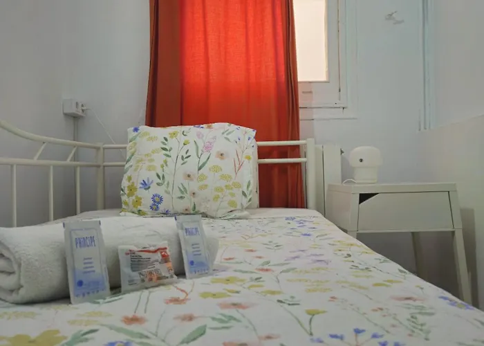 Youth - And Basic Drassanes Penzion Barcelona